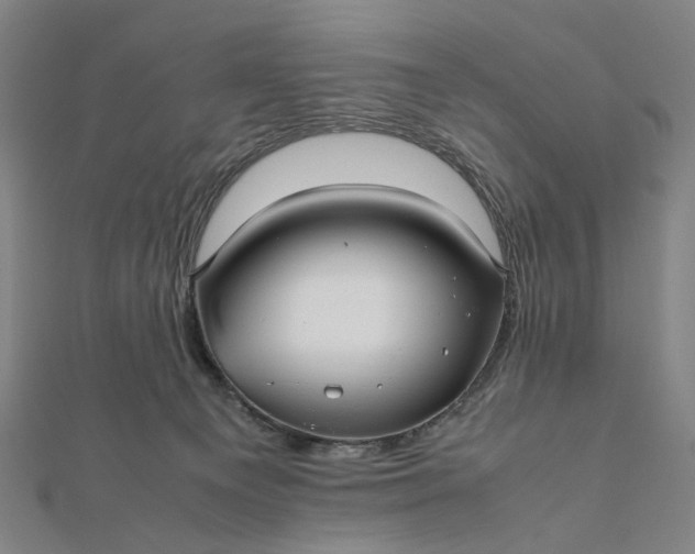 X0000112070129200908181229