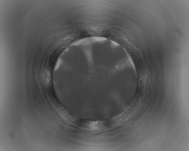 X0000112070130200908181229