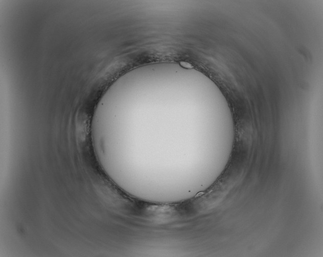 X0000112070133200908181229