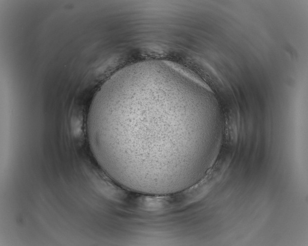 X0000112070134200908181229
