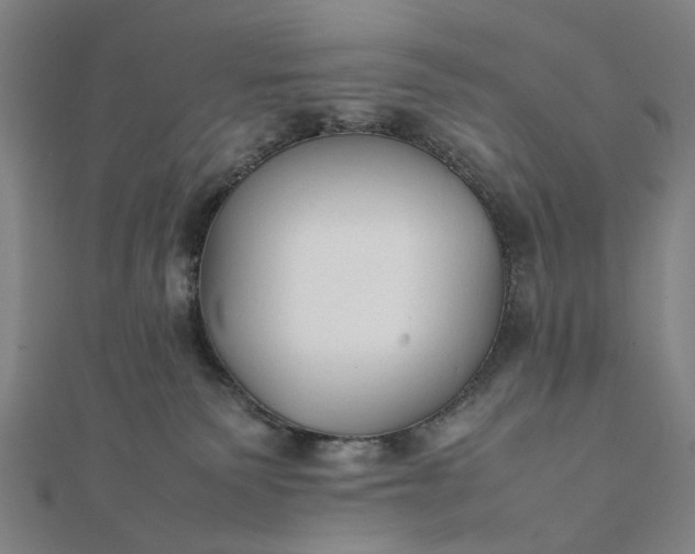 X0000112070135200908181229
