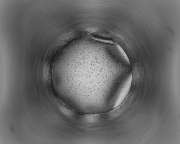 X0000112070136200908181229