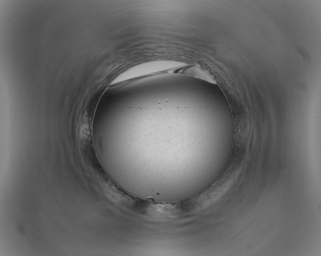 X0000112070137200908181229