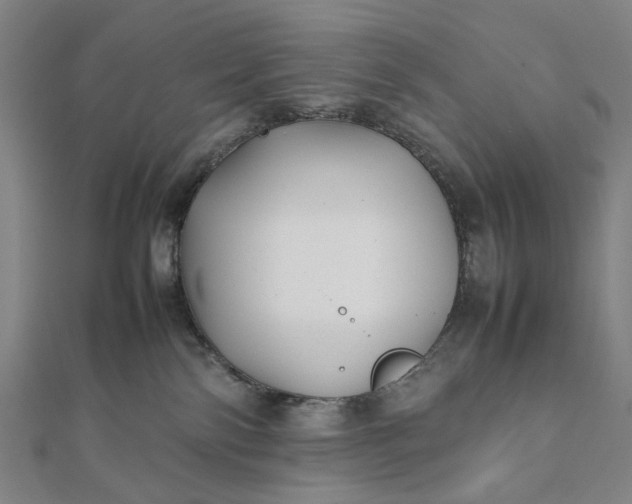 X0000112070138200908181229