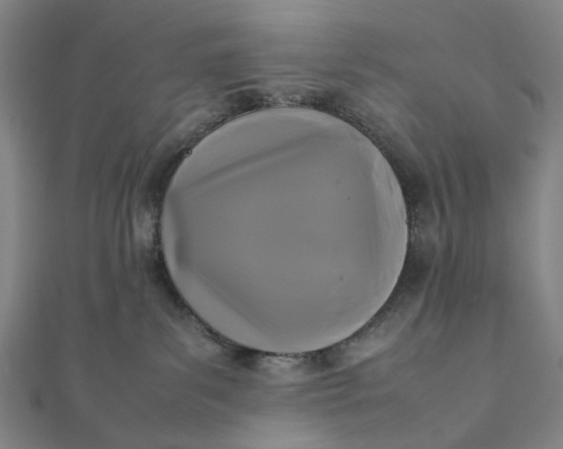X0000112070139200908181228