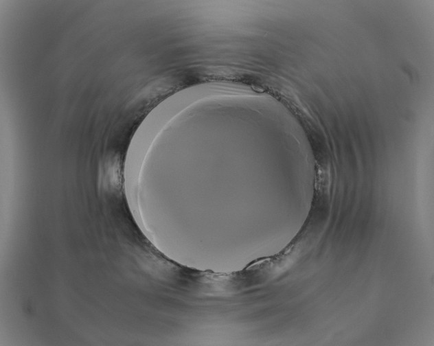 X0000112070143200908181228