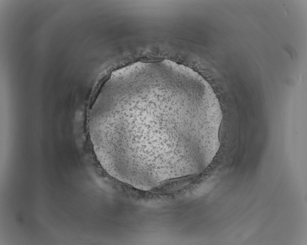 X0000112070144200908181228