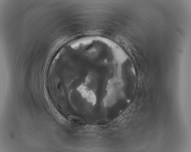 X0000112070145200908181227
