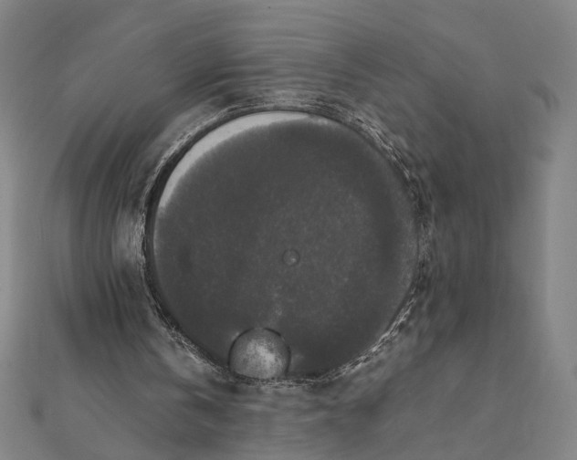 X0000112070146200908181227