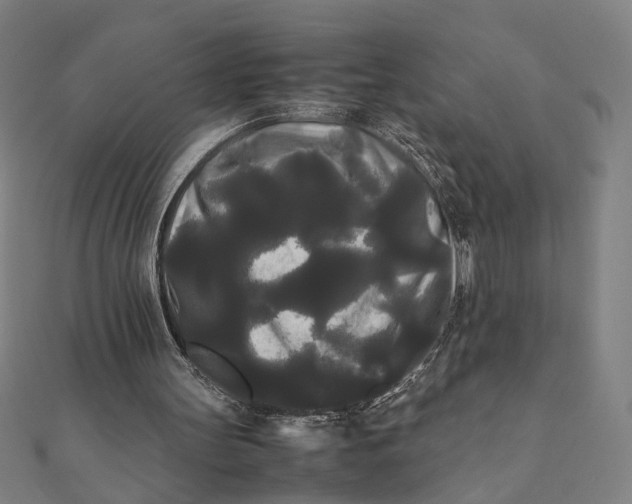 X0000112070147200908181227