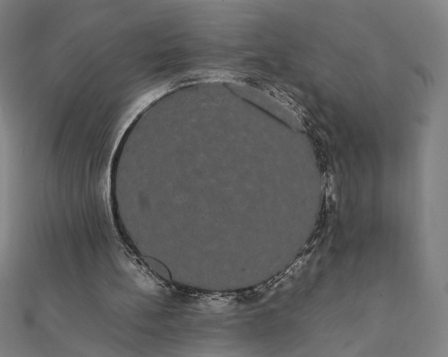 X0000112070148200908181228