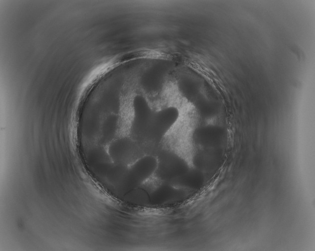 X0000112070149200908181228