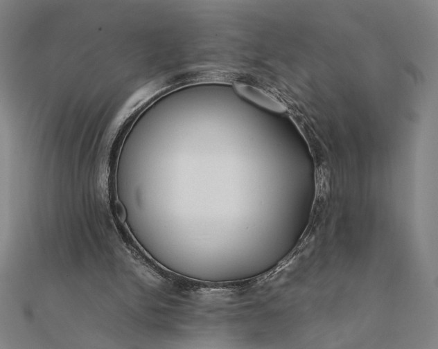 X0000112070150200908181228