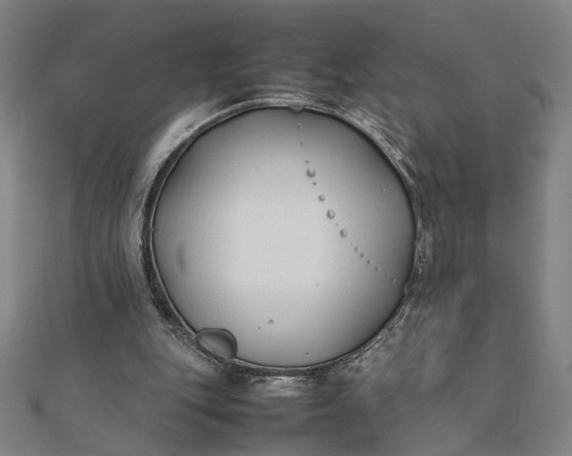 X0000112070151200908181228