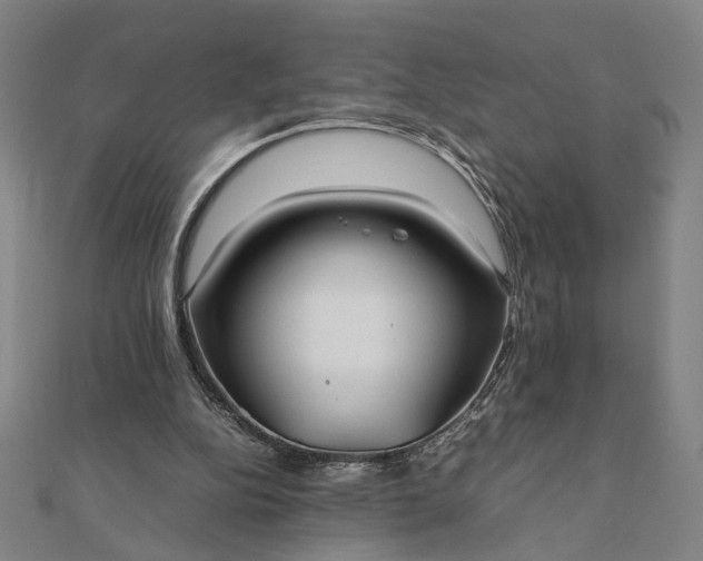X0000112070152200908181228