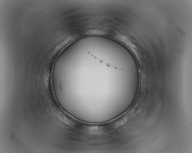 X0000112070153200908181228