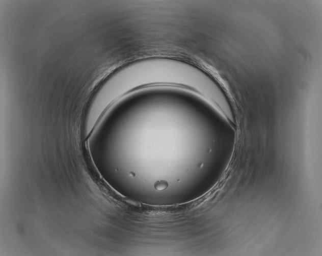 X0000112070154200908181228