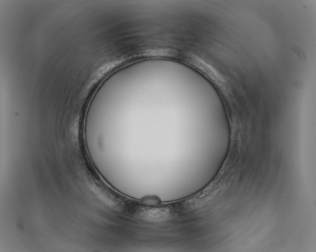 X0000112070155200908181228