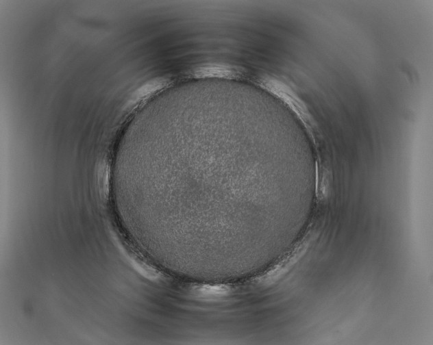 X0000112070157200908181228