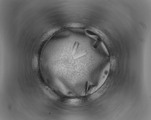 X0000112070158200908181228