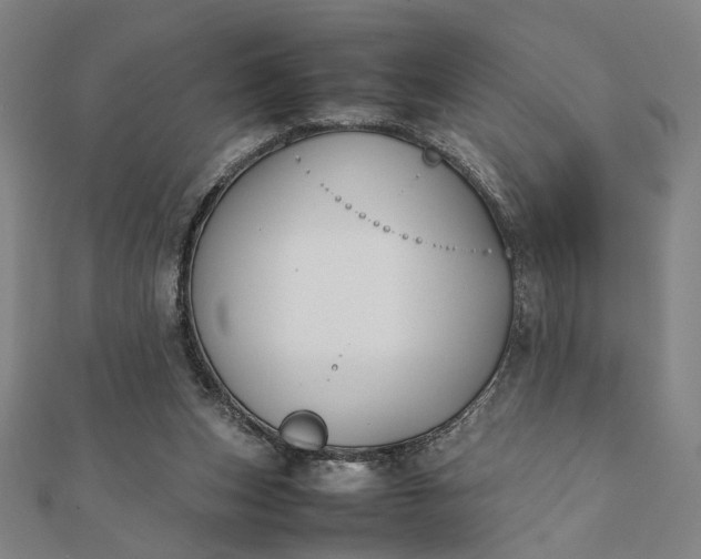 X0000112070159200908181228