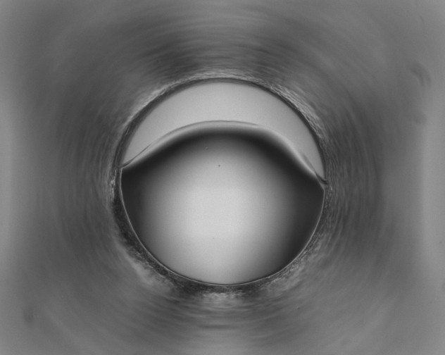X0000112070160200908181228