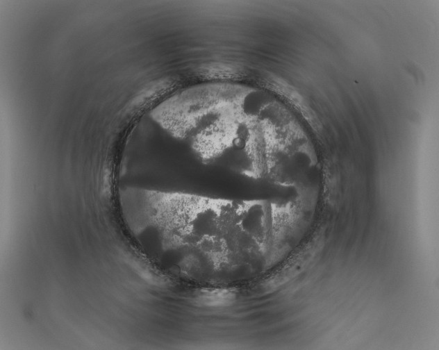 X0000112070161200908181228
