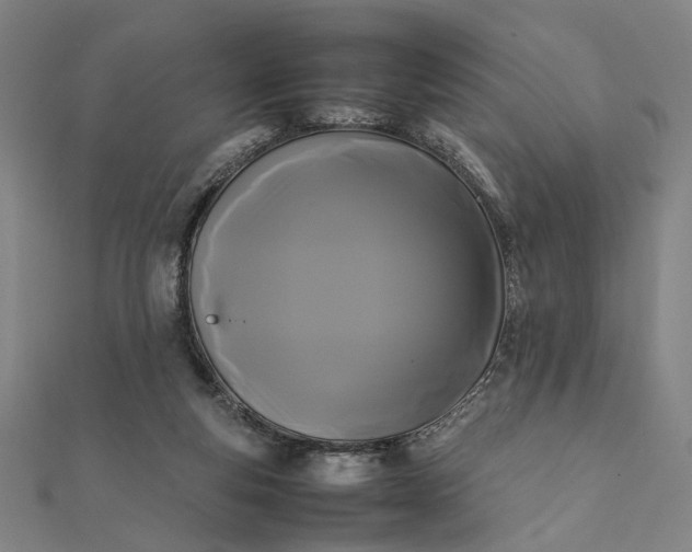 X0000112070163200908181228