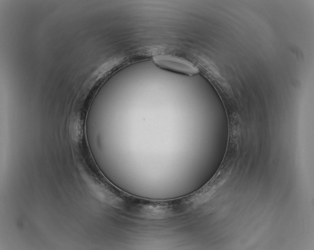 X0000112070164200908181228