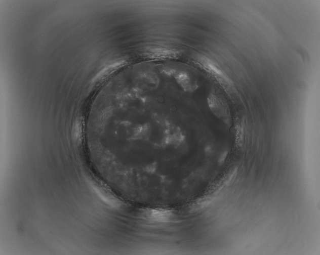 X0000112070165200908181228