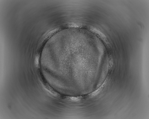 X0000112070166200908181228