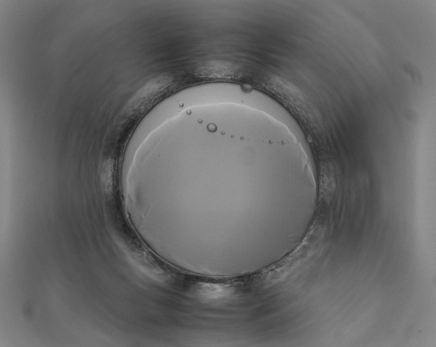 X0000112070167200908181228