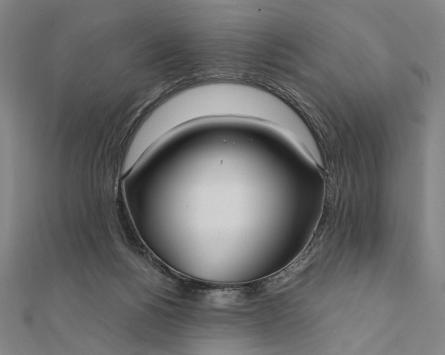 X0000112070168200908181228