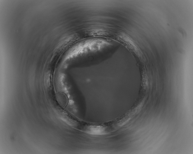 X0000112070169200908181228