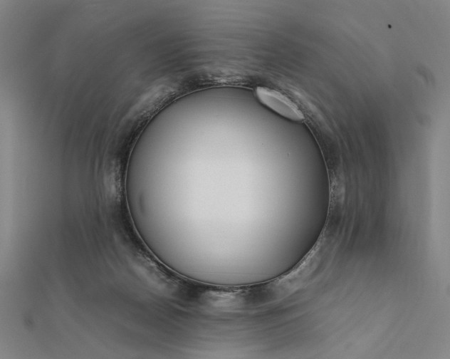 X0000112070170200908181228