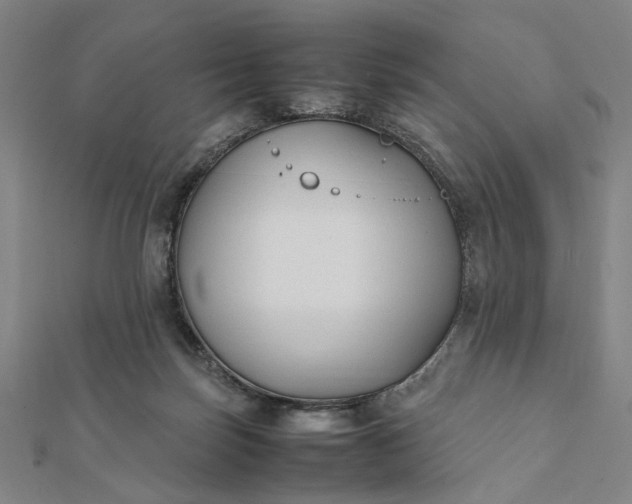 X0000112070171200908181228