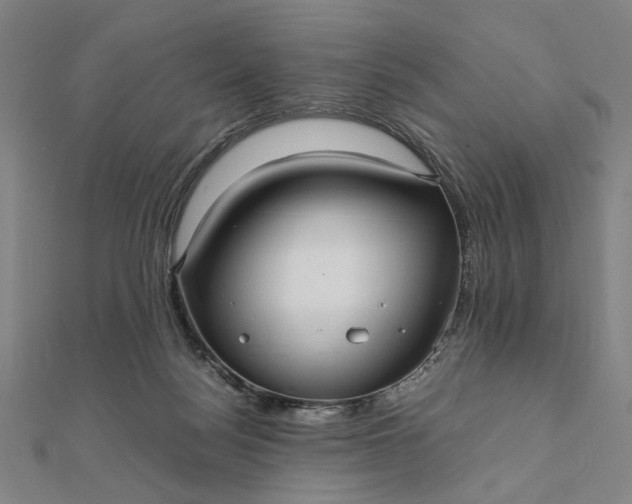 X0000112070172200908181228