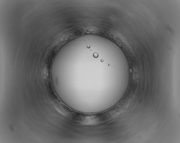 X0000112070173200908181228