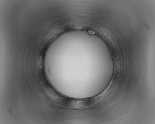 X0000112070174200908181228
