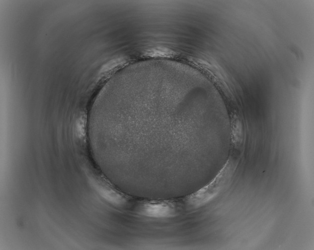 X0000112070175200908181228