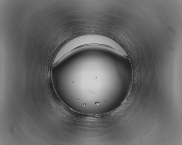 X0000112070176200908181228