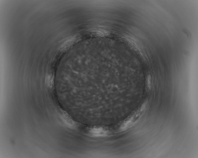 X0000112070177200908181228
