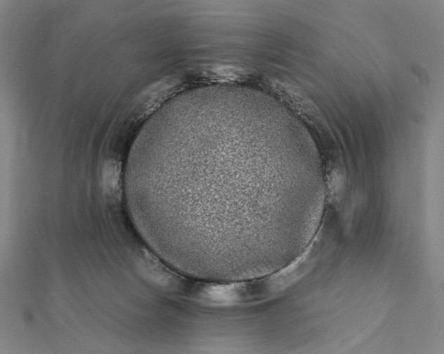 X0000112070178200908181228