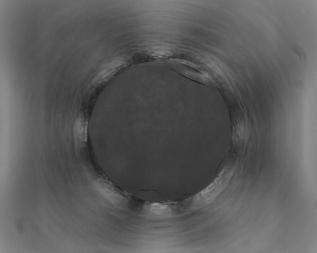 X0000112070180200908181228