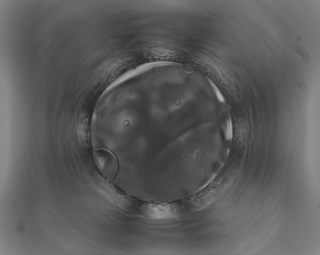 X0000112070181200908181228