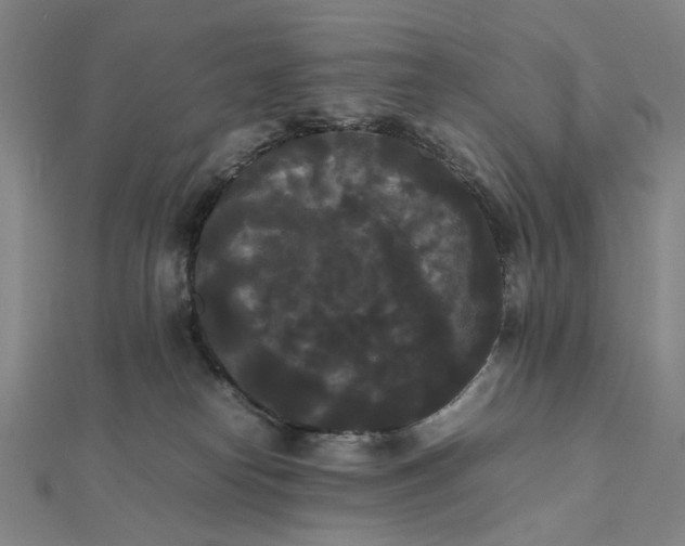 X0000112070182200908181228