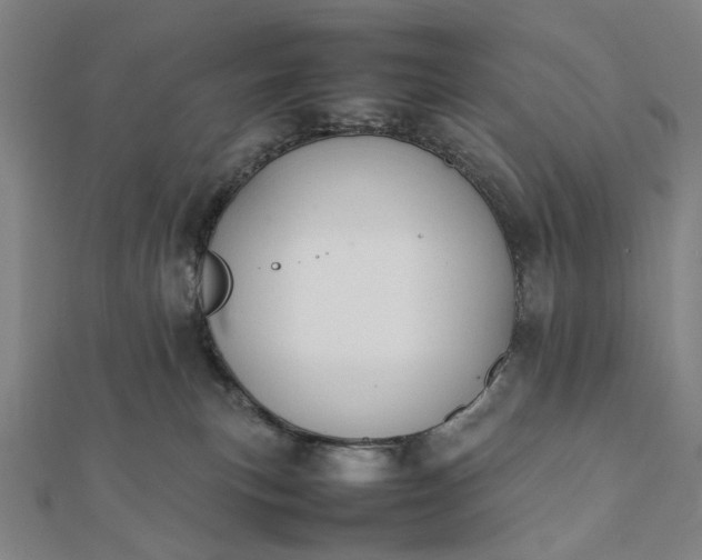 X0000112070183200908181228