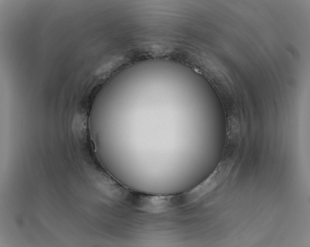 X0000112070184200908181228