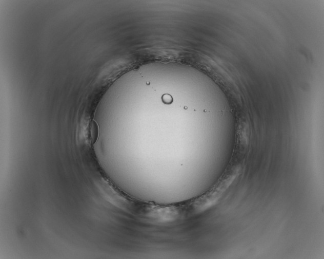 X0000112070185200908181228