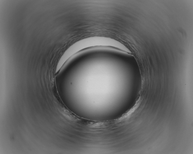 X0000112070186200908181228